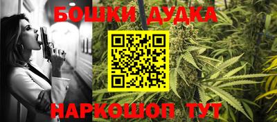 шишки Партизанск