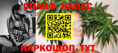 шишки Партизанск